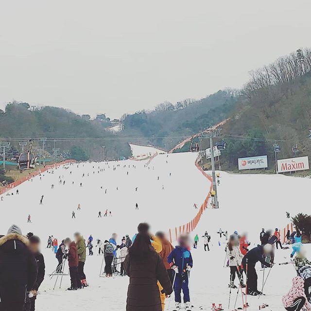 비발디파크 스키월드